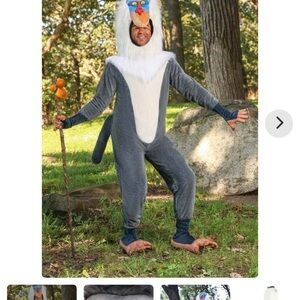Adult Rafiki Lion King Costume